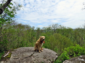 picture taken during a hike