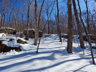 picture taken during a hike