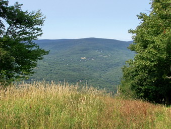 picture taken during a hike