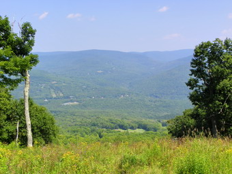 picture taken during a hike