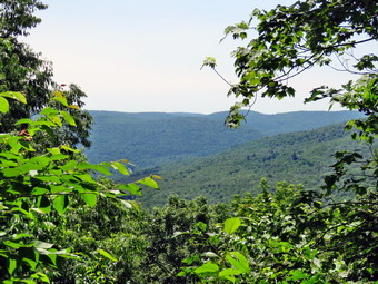 picture taken during a hike