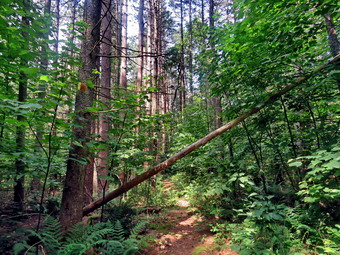 picture taken during a hike