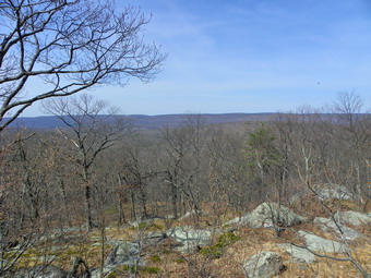 picture taken during a hike