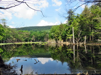 picture taken during a hike