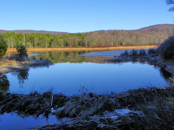 picture taken during a hike