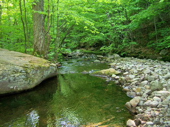 picture taken during a hike