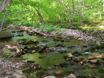 picture taken during a hike