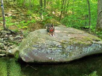 picture taken during a hike