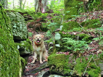 picture taken during a hike