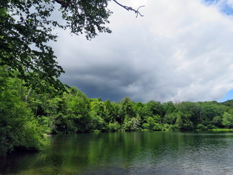 picture taken during a hike