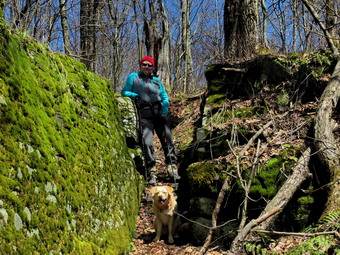 picture taken during a hike