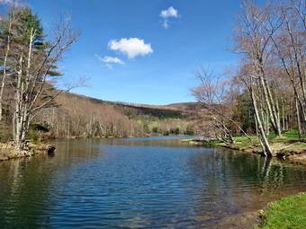 picture taken during a hike