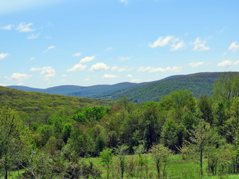 picture taken during a hike