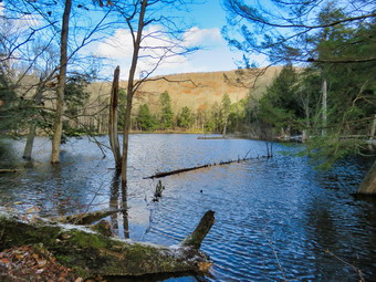 picture taken during a hike