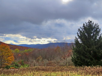 picture taken during a hike