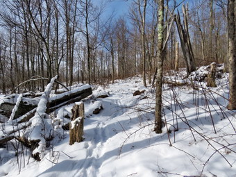 picture taken during a hike