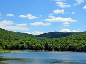 picture taken during a hike