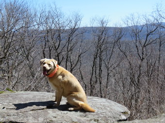 picture taken during a hike