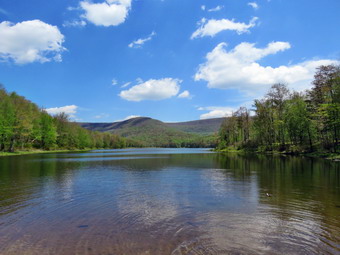 picture taken during a hike