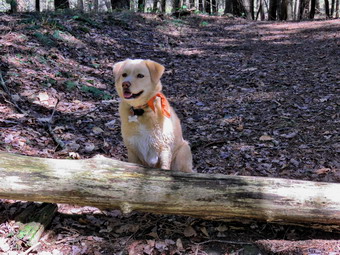 picture taken during a hike