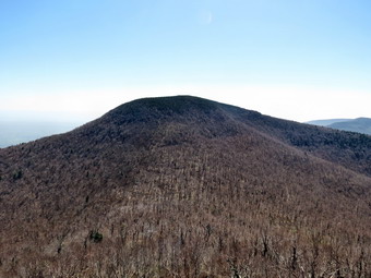 picture taken during a hike