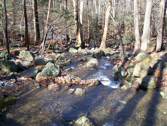 picture taken during a hike