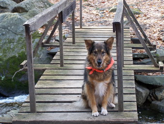 picture taken during a hike