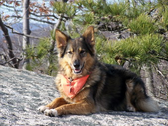 picture taken during a hike