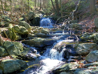 picture taken during a hike