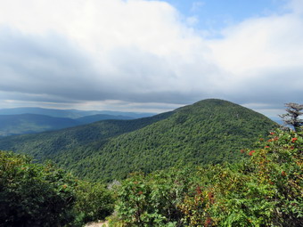 picture taken during a hike