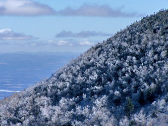 picture taken during a hike