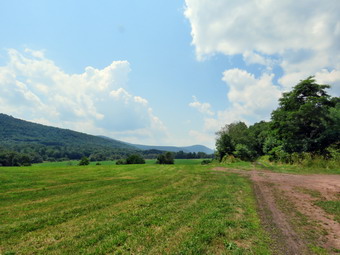 picture taken during a hike