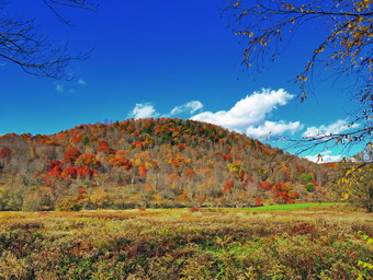 picture taken during a hike