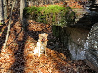 picture taken during a hike