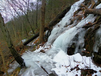 picture taken during a hike