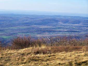 picture taken during a hike