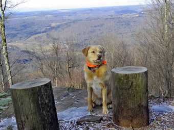 picture taken during a hike