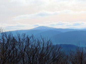 picture taken during a hike