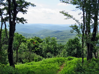 picture taken during a hike