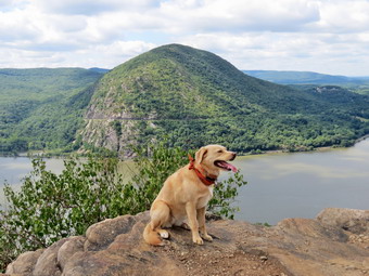 picture taken during a hike