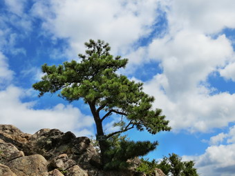 picture taken during a hike