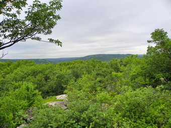 picture taken during a hike