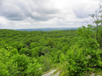 picture taken during a hike