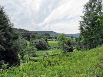 picture taken during a hike