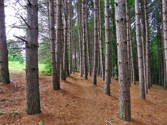 picture taken during a hike