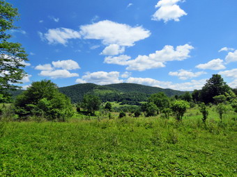 picture taken during a hike