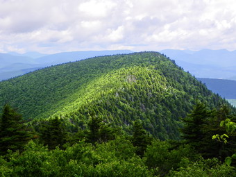 picture taken during a hike