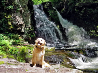 picture taken during a hike