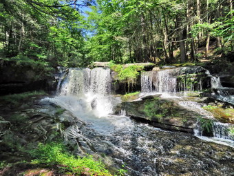 picture taken during a hike