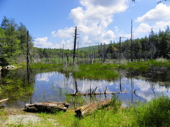 picture taken during a hike